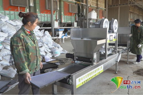 南昌新建區(qū) 育秧工廠播種忙，機械育秧助春耕